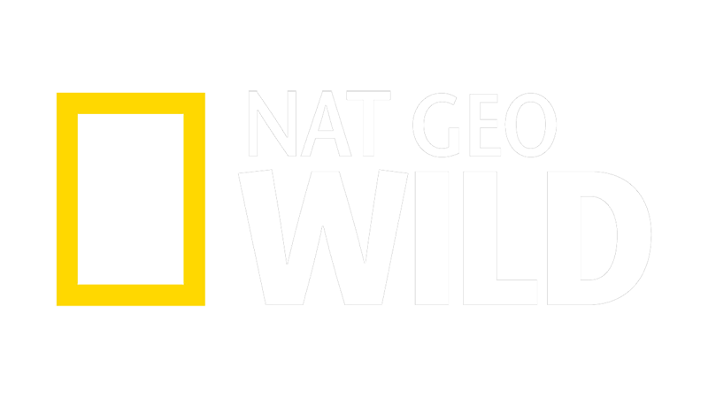 NAT GEO WILD ᶠᴴᴰ